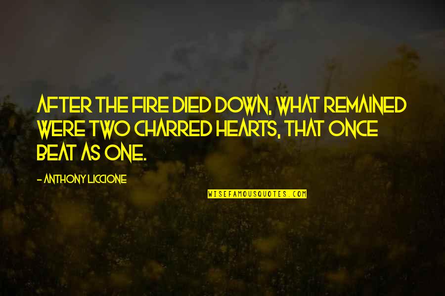 Fade Up Love Quotes By Anthony Liccione: After the fire died down, what remained were Fade Up Love Quotes By Anthony Liccione: After the fire died down, what remained were
