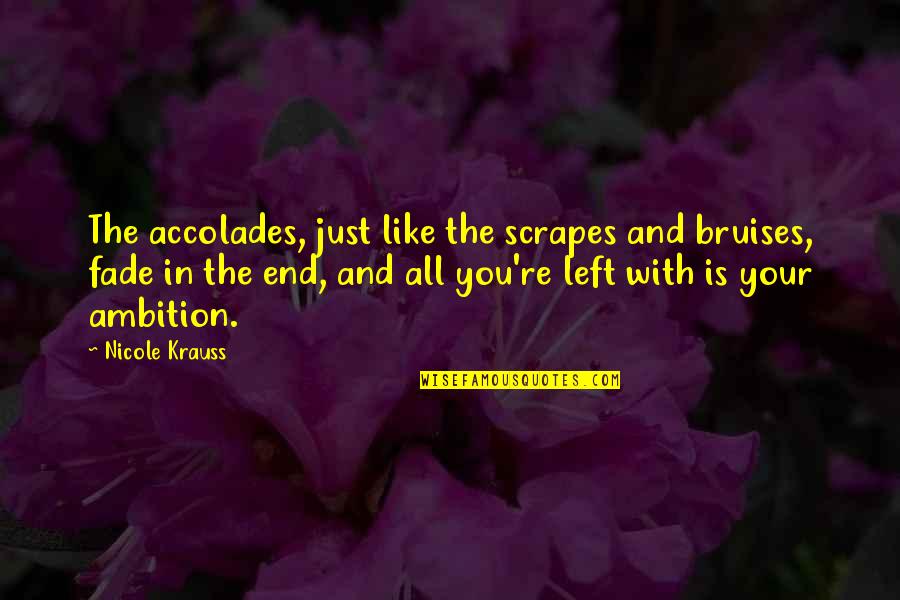 Fade Up Quotes By Nicole Krauss: The accolades, just like the scrapes and bruises,