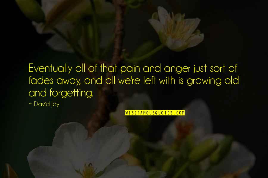 Fades Away Quotes By David Joy: Eventually all of that pain and anger just