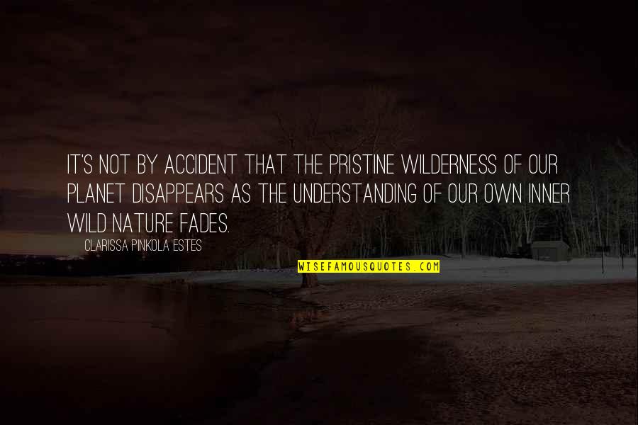 Fades Quotes By Clarissa Pinkola Estes: It's not by accident that the pristine wilderness