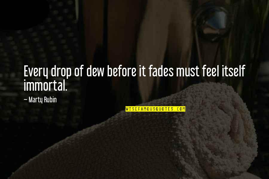Fades Quotes By Marty Rubin: Every drop of dew before it fades must