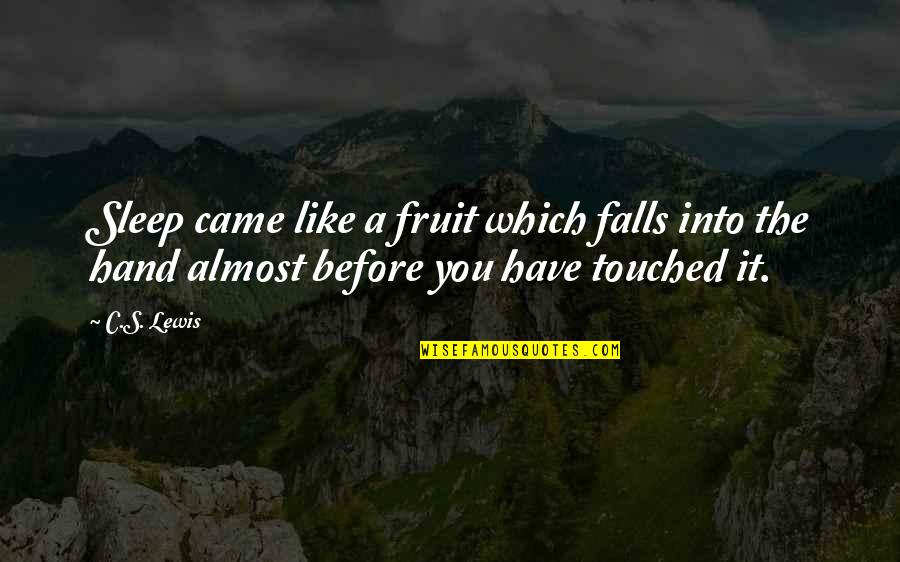 Faduma Abdullahi Quotes By C.S. Lewis: Sleep came like a fruit which falls into