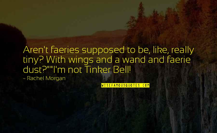 Faerie Magic Quotes By Rachel Morgan: Aren't faeries supposed to be, like, really tiny?