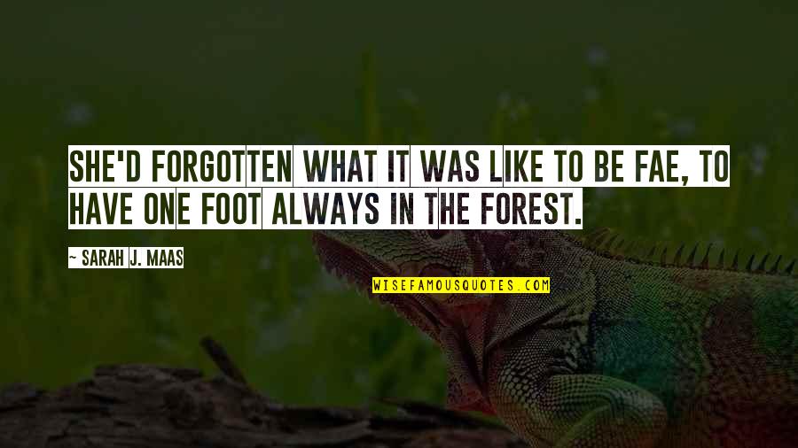Fae's Quotes By Sarah J. Maas: She'd forgotten what it was like to be