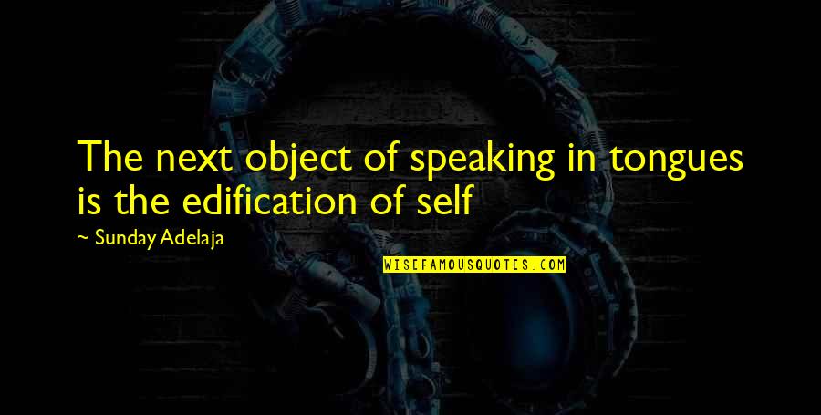 Fagerlind Quotes By Sunday Adelaja: The next object of speaking in tongues is Fagerlind Quotes By Sunday Adelaja: The next object of speaking in tongues is