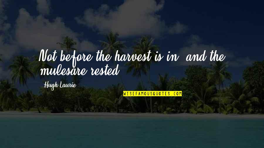 Faggiano Quotes By Hugh Laurie: Not before the harvest is in, and the