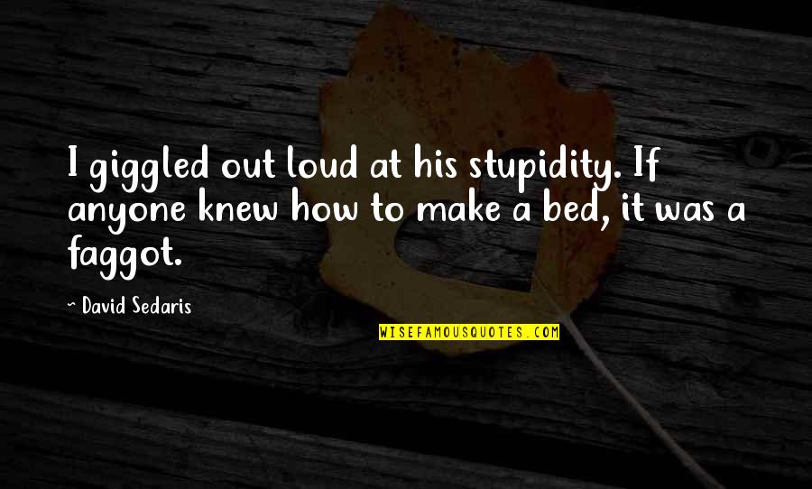 Faggot Quotes By David Sedaris: I giggled out loud at his stupidity. If