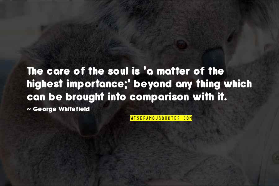 Faggyu Quotes By George Whitefield: The care of the soul is 'a matter