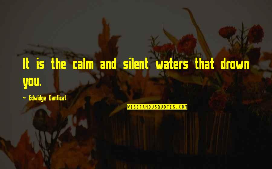 Fague Yogurt Quotes By Edwidge Danticat: It is the calm and silent waters that Fague Yogurt Quotes By Edwidge Danticat: It is the calm and silent waters that