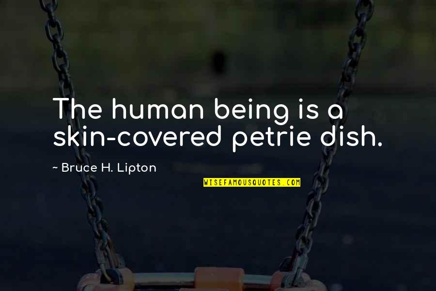 Fahidi Gergely Quotes By Bruce H. Lipton: The human being is a skin-covered petrie dish.