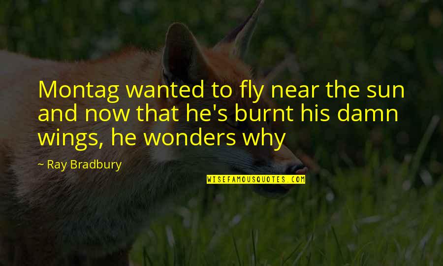 Fahrenheit 451 Montag Quotes By Ray Bradbury: Montag wanted to fly near the sun and