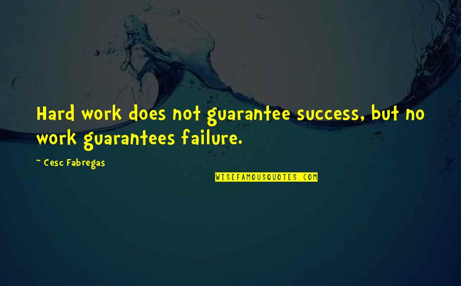 Failure And Hard Work Quotes By Cesc Fabregas: Hard work does not guarantee success, but no