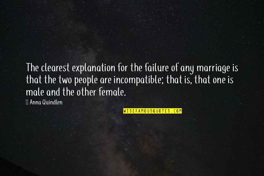 Failure In Marriage Quotes By Anna Quindlen: The clearest explanation for the failure of any