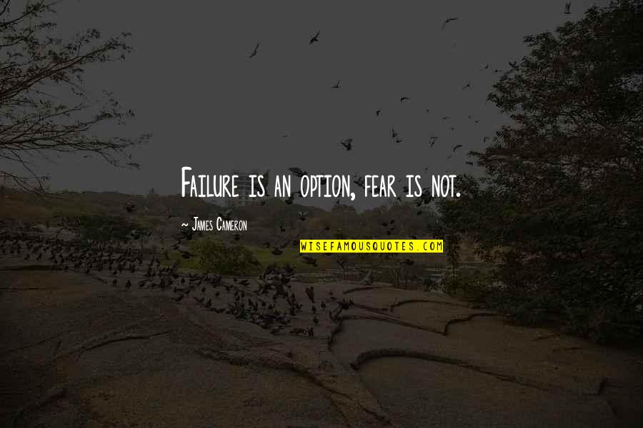 Failure Is Not An Option Quotes By James Cameron: Failure is an option, fear is not.
