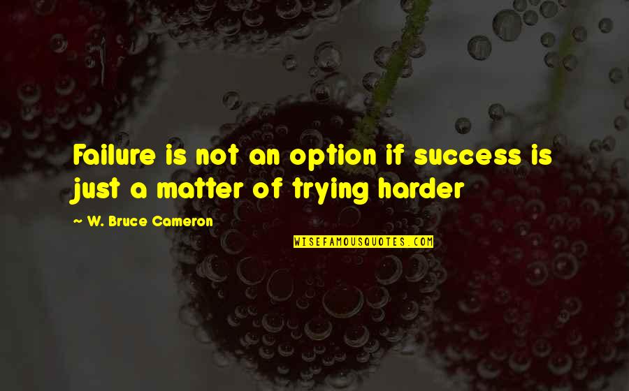 Failure Is Not Failure Quotes By W. Bruce Cameron: Failure is not an option if success is