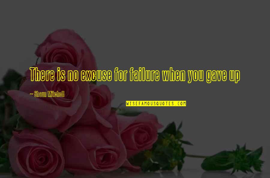 Failure Motivational Quotes By Shaun Mitchell: There is no excuse for failure when you