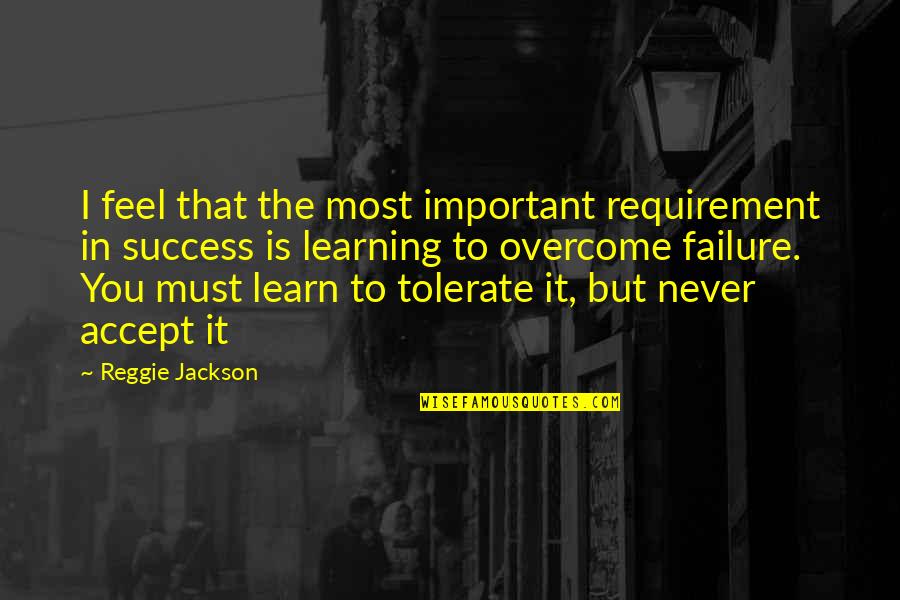 Failure To Learn Quotes By Reggie Jackson: I feel that the most important requirement in