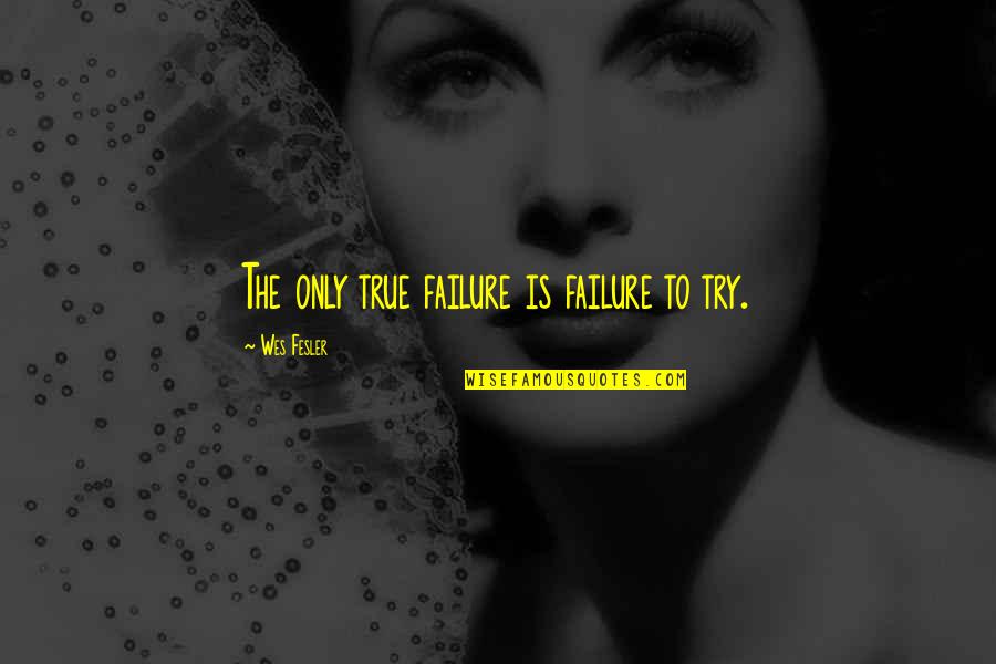 Failure Without Trying Quotes By Wes Fesler: The only true failure is failure to try.