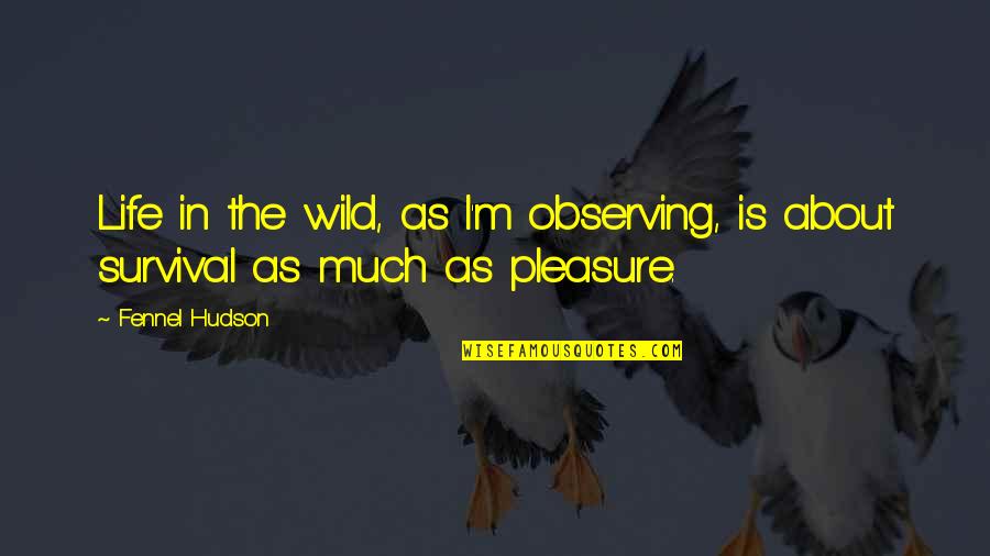 Fainting Love Quotes By Fennel Hudson: Life in the wild, as I'm observing, is