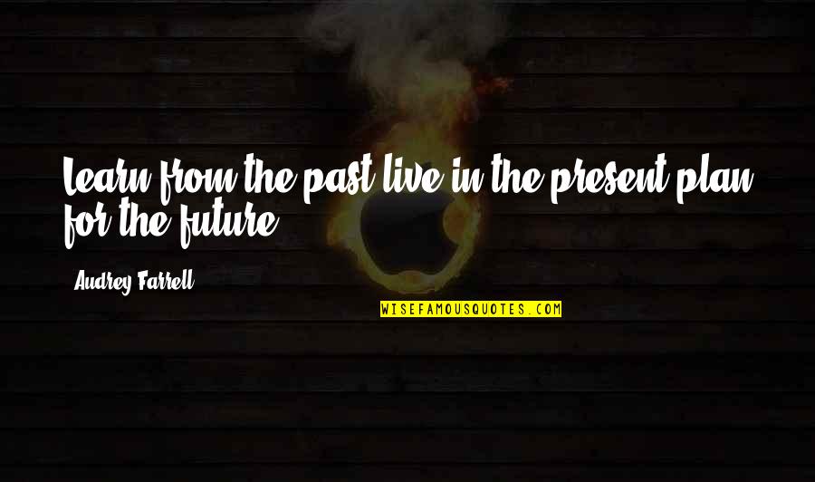 Faintly Glowing Quotes By Audrey Farrell: Learn from the past live in the present