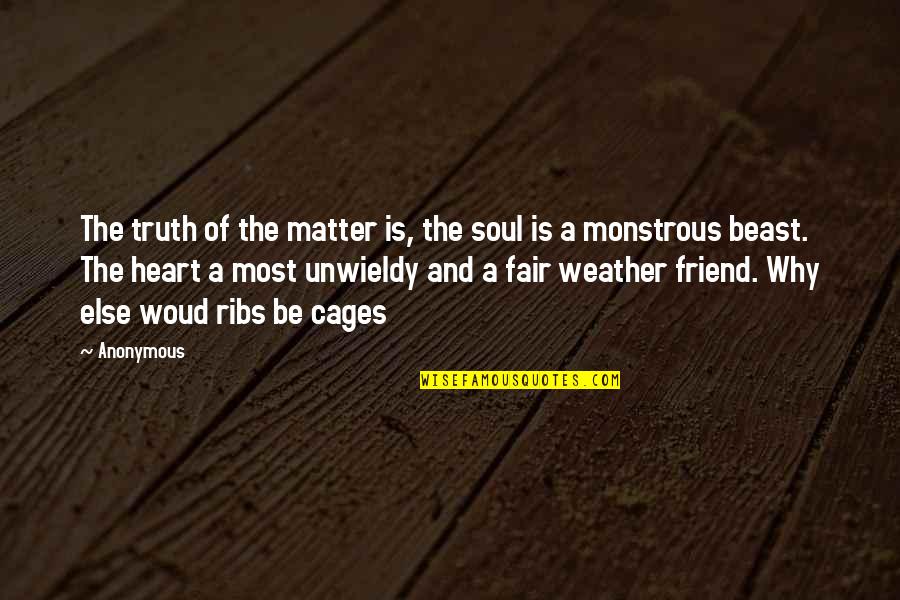 Fair Weather Friend Quotes By Anonymous: The truth of the matter is, the soul