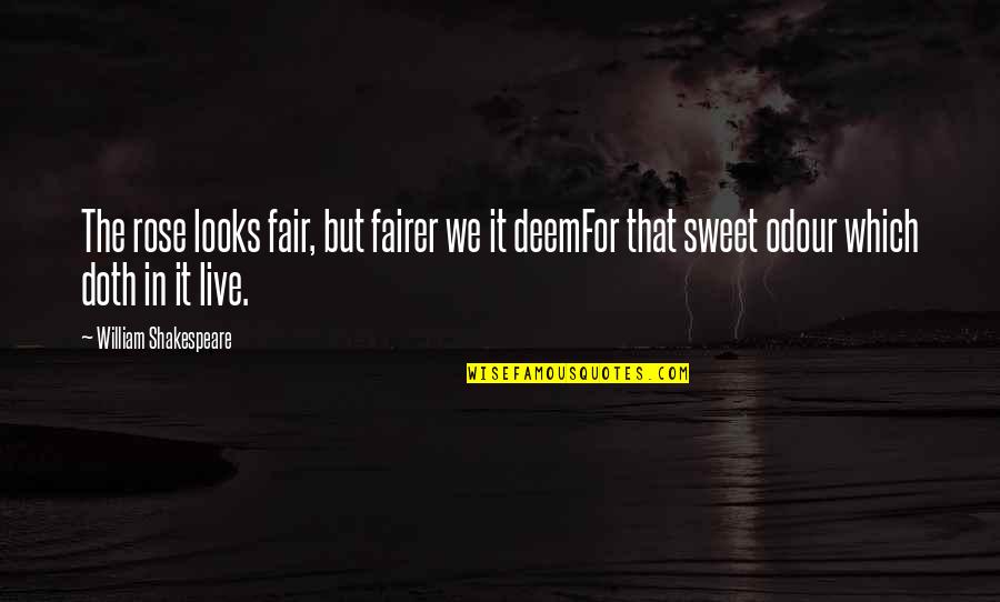 Fairer Quotes By William Shakespeare: The rose looks fair, but fairer we it Fairer Quotes By William Shakespeare: The rose looks fair, but fairer we it