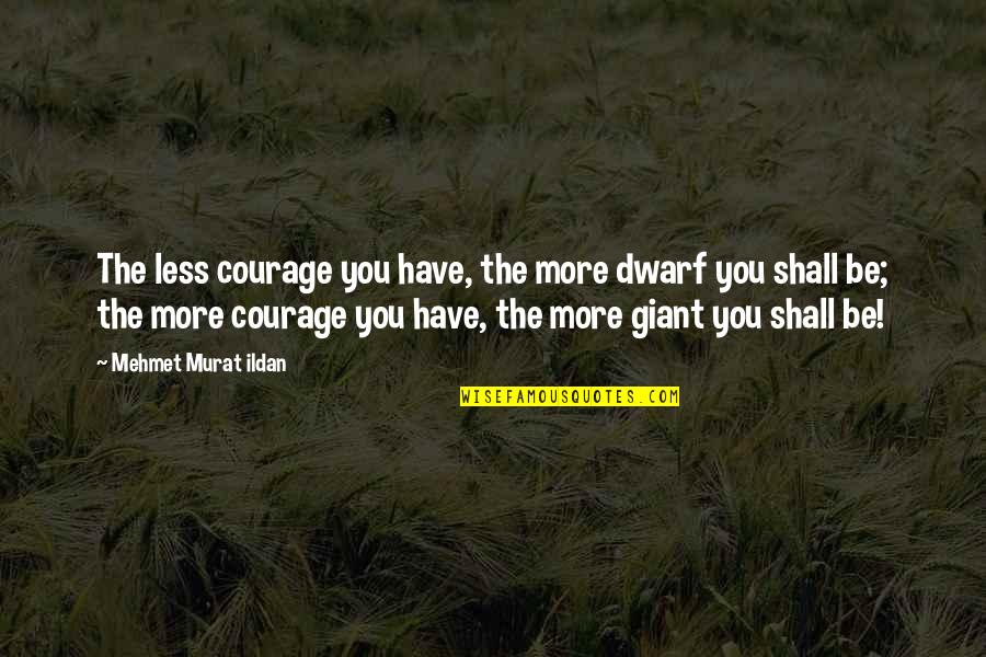 Fairest Chanda Hahn Quotes By Mehmet Murat Ildan: The less courage you have, the more dwarf