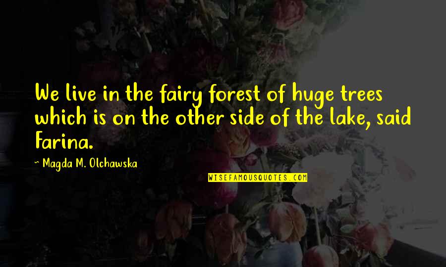 Fairies And Magic Quotes By Magda M. Olchawska: We live in the fairy forest of huge