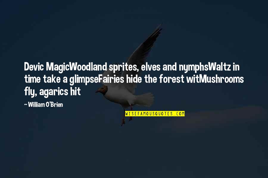 Fairies And Magic Quotes By William O'Brien: Devic MagicWoodland sprites, elves and nymphsWaltz in time