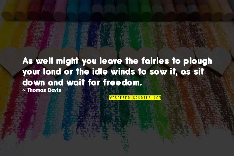 Fairies Quotes By Thomas Davis: As well might you leave the fairies to