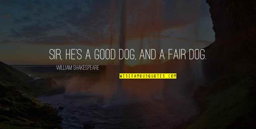 Fairness Quotes By William Shakespeare: Sir, he's a good dog, and a fair