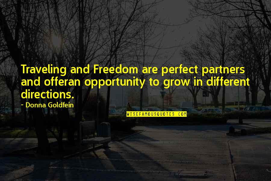 Fairy Aesthetic Quotes By Donna Goldfein: Traveling and Freedom are perfect partners and offeran
