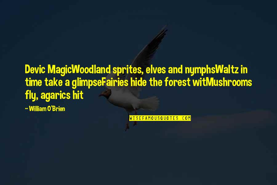 Fairy Magic Quotes By William O'Brien: Devic MagicWoodland sprites, elves and nymphsWaltz in time