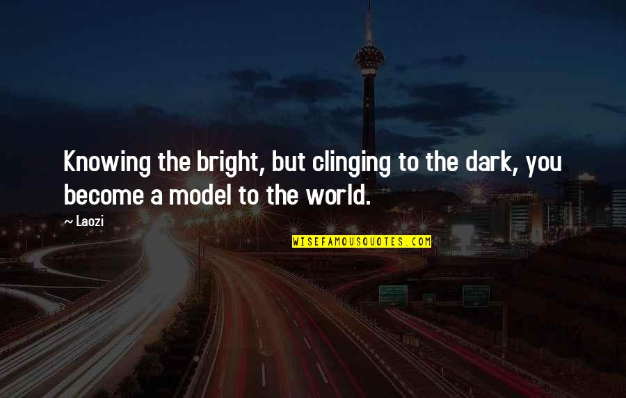 Fairy Tale Garden Quotes By Laozi: Knowing the bright, but clinging to the dark,