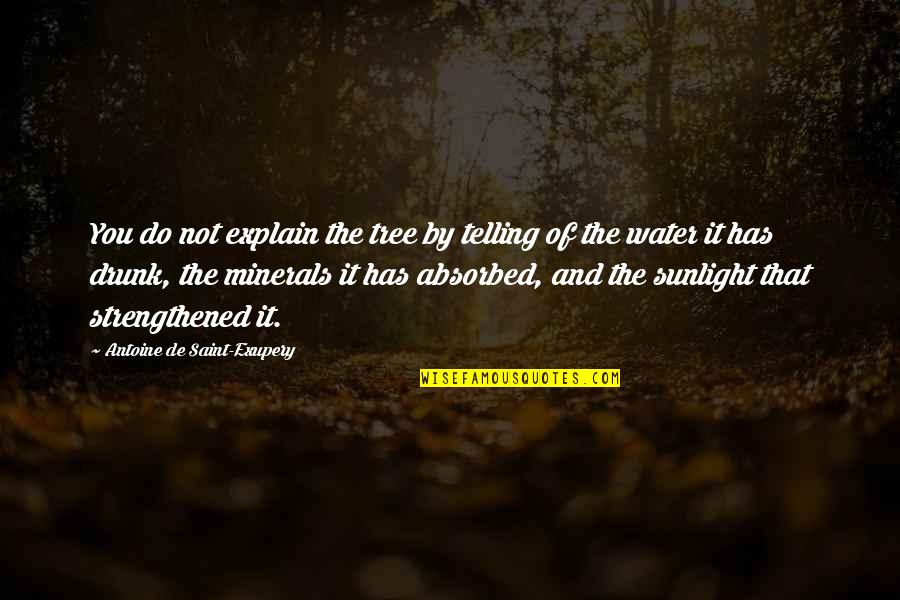 Fais Quotes By Antoine De Saint-Exupery: You do not explain the tree by telling
