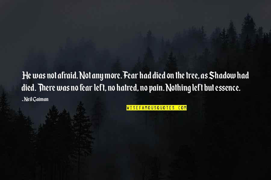 Faisait Ou Quotes By Neil Gaiman: He was not afraid. Not any more. Fear