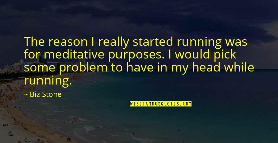Faisal Mosque Quotes By Biz Stone: The reason I really started running was for