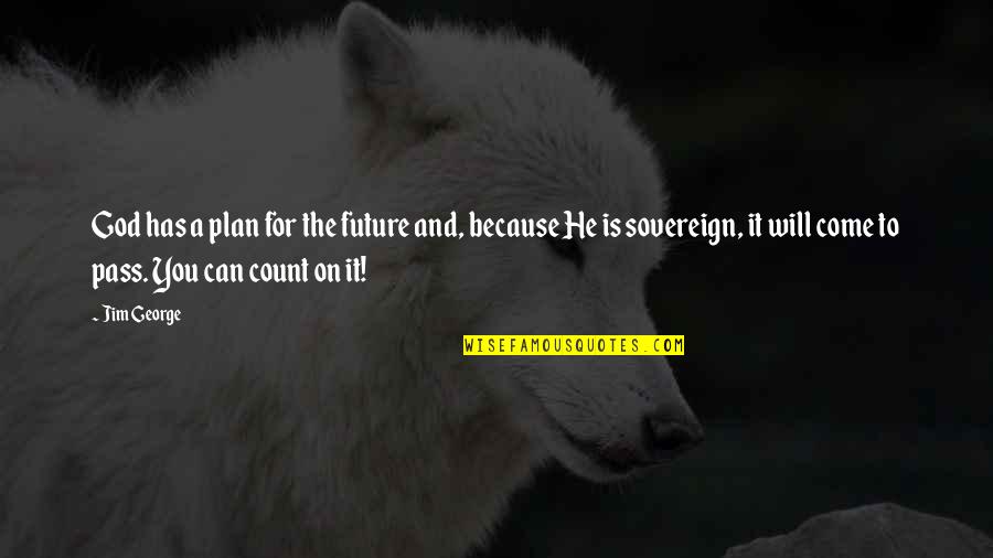 Faith For The Future Quotes By Jim George: God has a plan for the future and,
