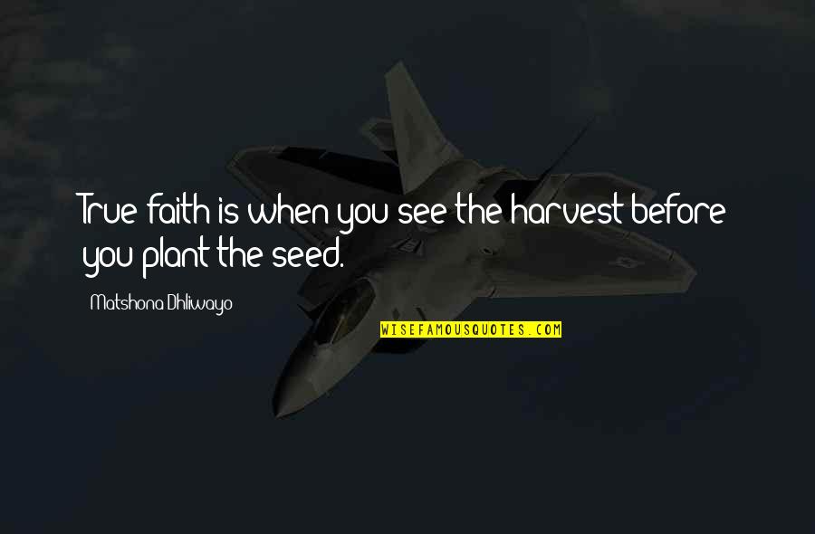 Faith In A Seed Quotes By Matshona Dhliwayo: True faith is when you see the harvest