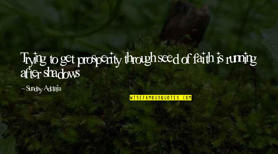 Faith In A Seed Quotes By Sunday Adelaja: Trying to get prosperity through seed of faith