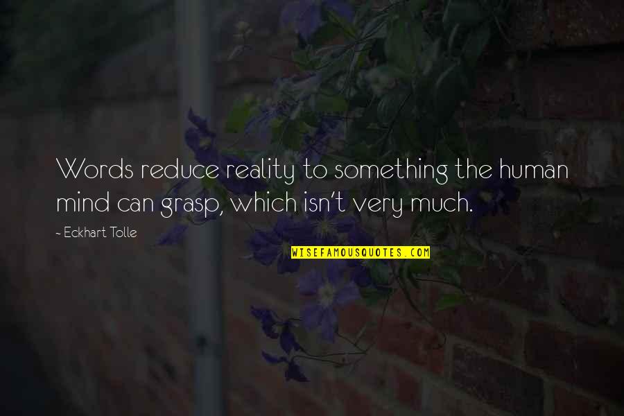 Faith In Hard Times Quotes By Eckhart Tolle: Words reduce reality to something the human mind