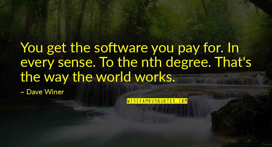 Faith Like Potatoes Quotes By Dave Winer: You get the software you pay for. In