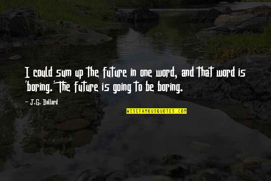 Faith Things Will Work Out Quotes By J.G. Ballard: I could sum up the future in one