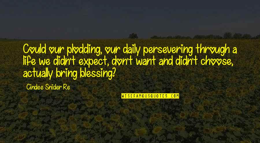 Faith Trust Hope Quotes By Cindee Snider Re: Could our plodding, our daily persevering through a