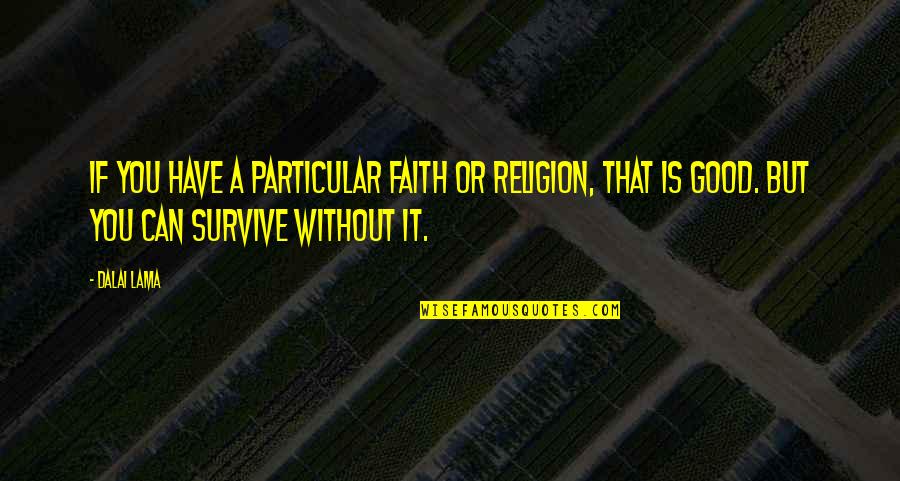 Faith Without Religion Quotes By Dalai Lama: If you have a particular faith or religion,