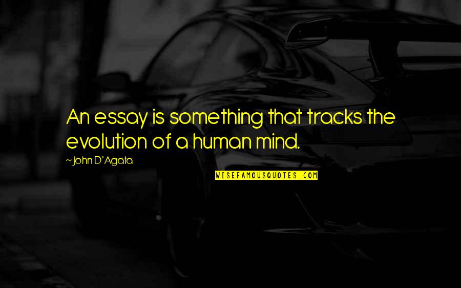 Faithful Faithful Faithful Drake Quotes By John D'Agata: An essay is something that tracks the evolution