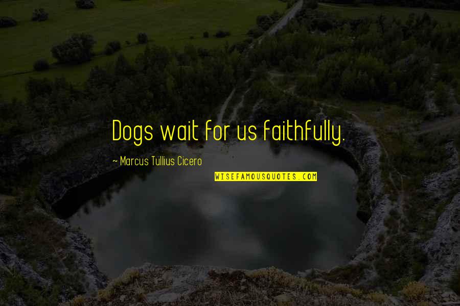 Faithfully Love Quotes By Marcus Tullius Cicero: Dogs wait for us faithfully.