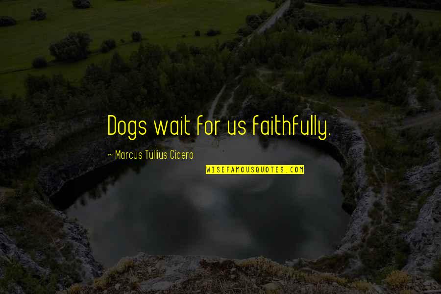 Faithfully Quotes By Marcus Tullius Cicero: Dogs wait for us faithfully.