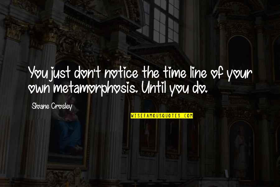 Faithm Hope Quotes By Sloane Crosley: You just don't notice the time line of