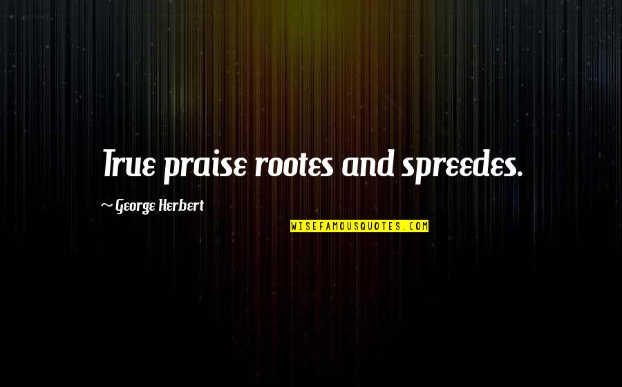 Faizan Traders Quotes By George Herbert: True praise rootes and spreedes.